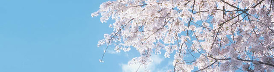 福島県の春