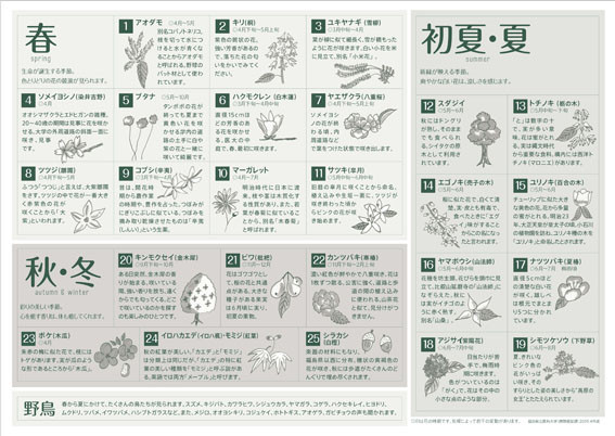 春・初夏・夏・秋・冬の植物や野菜のイラストが描かれたポスター。各季節ごとの特徴的な植物が一覧で示されている。