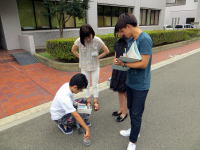 福島県立医科大学のキャンパスで、学生たちが実験や調査を行っている様子。