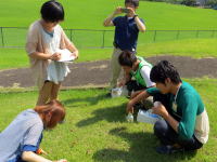 学生たちが芝生の上で観察や記録を行っている様子。背景には広い緑の景色が広がっている。