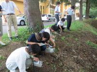 福島県立医科大学の学生たちが、キャンパス内の土を調査している様子。