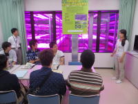野菜工場の見学中、参加者が説明を受けている様子。背景には紫色の照明が施された栽培設備が見える。