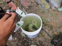 水が入ったバケツを持ち、測定器で水質を確認している手元の様子。