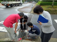 福島県立医科大学の学生たちが、道路脇の排水溝を調査している様子。