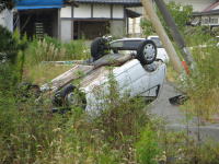 倒れた白い車が草に囲まれた風景。背景には住宅が見える。
