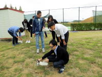 福島県立医科大学の学生たちが屋外で何かを調べている様子。緑の芝生の上で、数人が集まって作業を行っている。