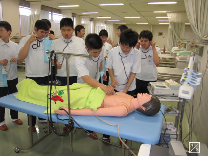 福島成蹊中学校の生徒たちが医療実習で人形に聴診器を当てている様子。