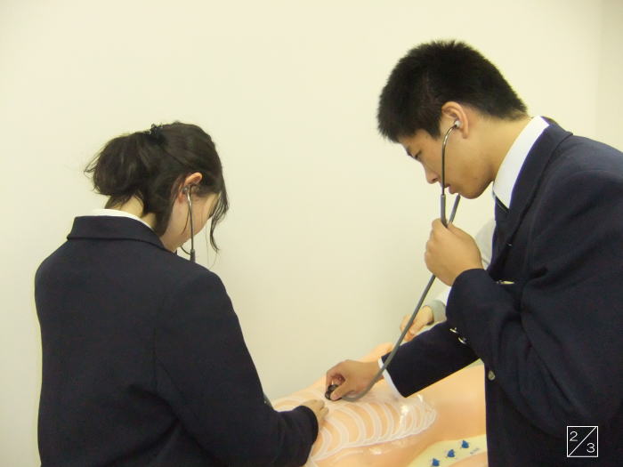 医療実習中の茗渓学園高等学校の生徒が、模型を使って聴診器で心音を確認している様子。
