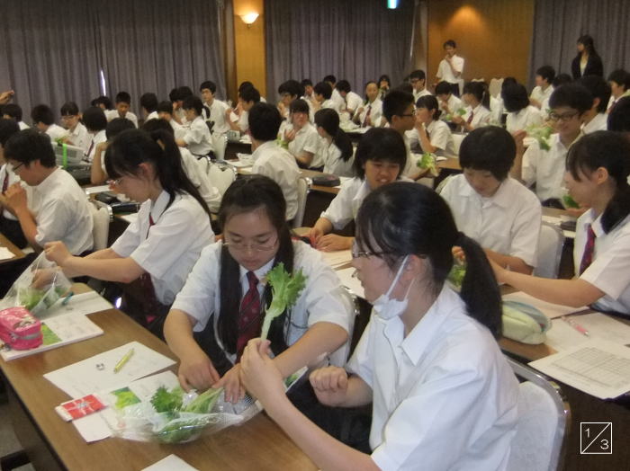 会津学鳳中学校の教室で、3年生の生徒たちが野菜を使った実習に取り組んでいる様子。