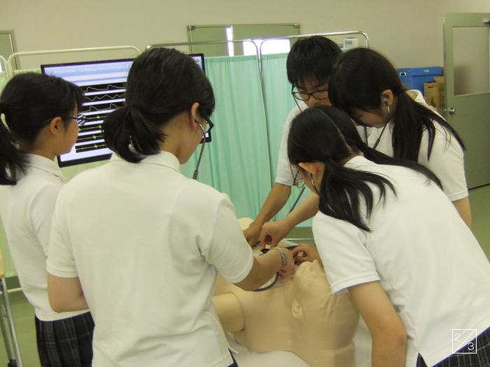 医療シミュレーションを行う福島成蹊中学校の生徒たちが、模型に触れながら学んでいる様子。