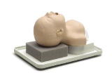 新生児気道管理トレーナー