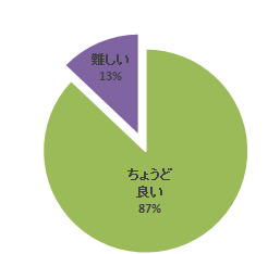 平成26年度腹部エコーセミナーのアンケート結果を示す円グラフ。87%が「ちょうど良い」と回答し、13%が「難しい」と回答している。