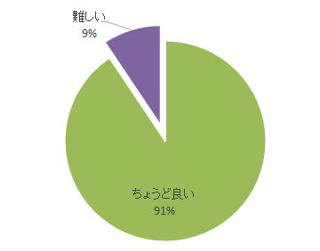 腹部エコーセミナーのアンケート結果を示す円グラフ。91%が「ちょうど良い」と回答し、9%が「難しい」と回答。