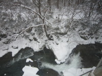 雪に覆われた川と周囲の木々の風景。冬の静けさが漂う自然の一コマ。