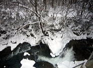 雪に覆われた木々と流れる川の風景。冬の静けさが漂う自然の景観。