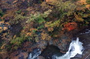 秋の紅葉に囲まれた清流が流れる風景。水の流れと色づいた木々が美しいコントラストを生み出している。