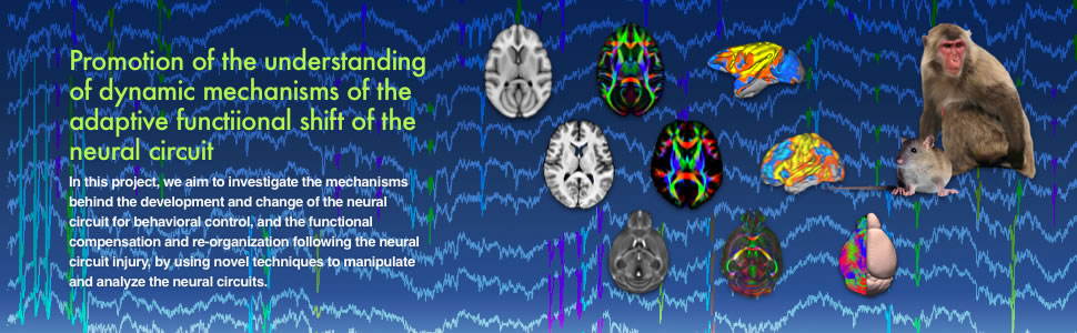 Grant-in-Aid for Scientific Research on Innovative Areas from MEXT (FY 2014−2018)｜Mechanisms underlying the functional shift of brain neural circuitry for behavioral adaptation.