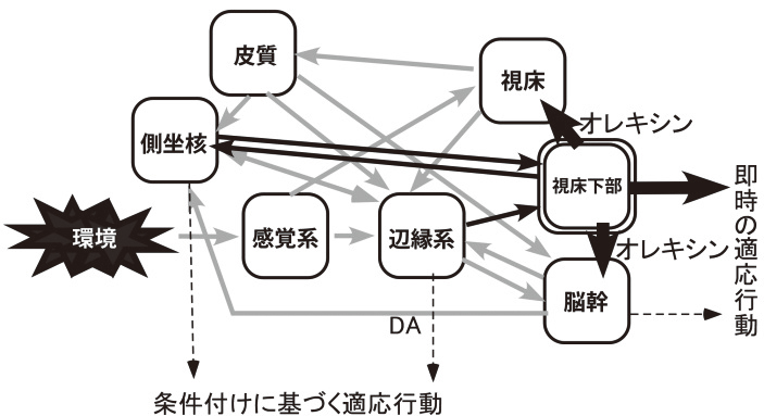 報酬系