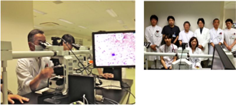骨髄像検鏡会：血液検査室