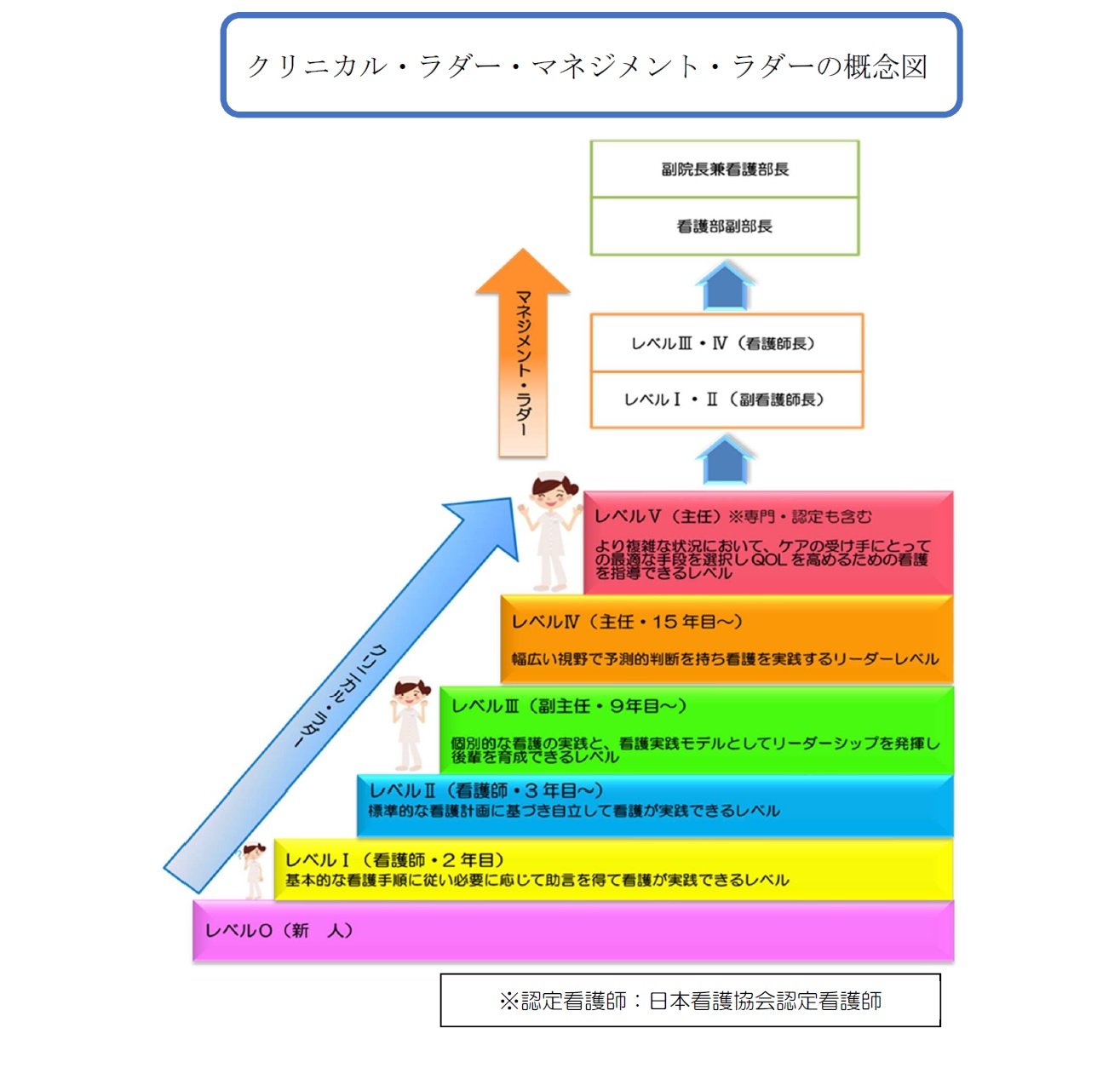 クリニカル・ラダーとマネジメント・ラダー概念図