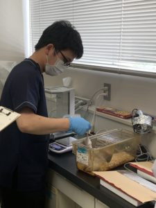 研究室で作業中のスタッフの様子。