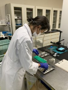 研究室で作業中のスタッフの様子。