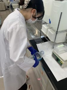 研究室で作業中のスタッフの様子。