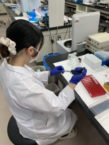 研究室で作業中のスタッフの様子。