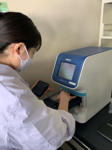 研究室で作業中のスタッフの様子。