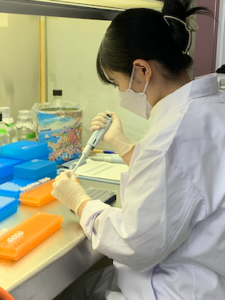 研究室で作業中のスタッフの様子。