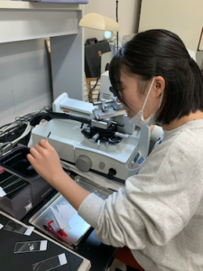 研究室で作業中のスタッフの様子。