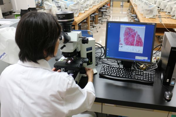 研究室で白衣を着た山内麻里子さんが顕微鏡を使用してサンプルを観察している様子。