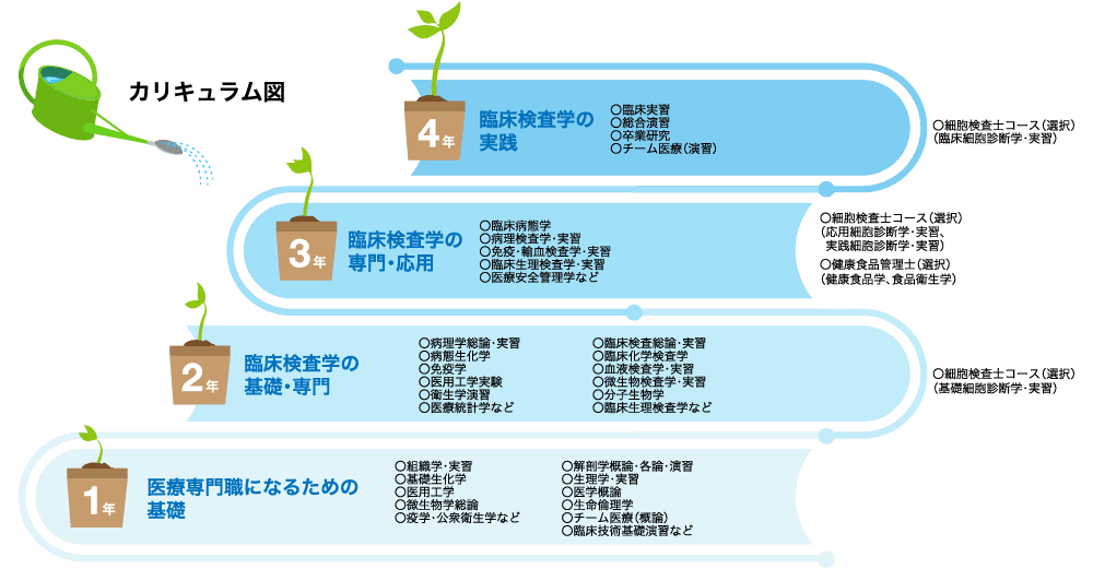 植物の成長を例に、1年から4年までのカリキュラムが示され、各年次に対応する教育内容がリストアップされています。