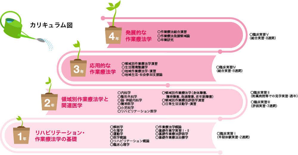 作業療法学科の4年間のカリキュラム図。1年から4年までの各年次ごとに異なる学習内容やテーマを示す。プランターの植物が成長を象徴。