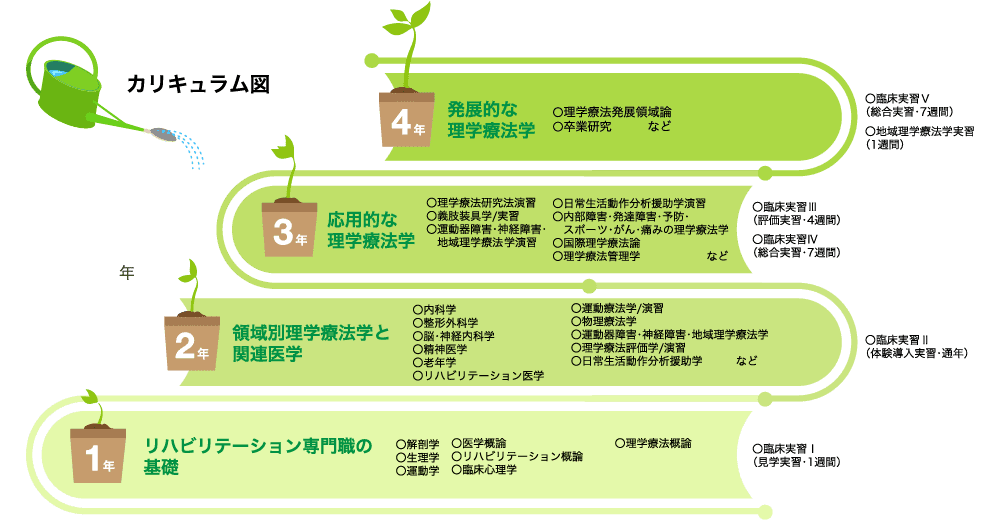 理学療法学科のカリキュラム図。リハビリテーション専門職の基礎から応用的な理学療法学まで、4年間の学習内容を植物の成長で表現。