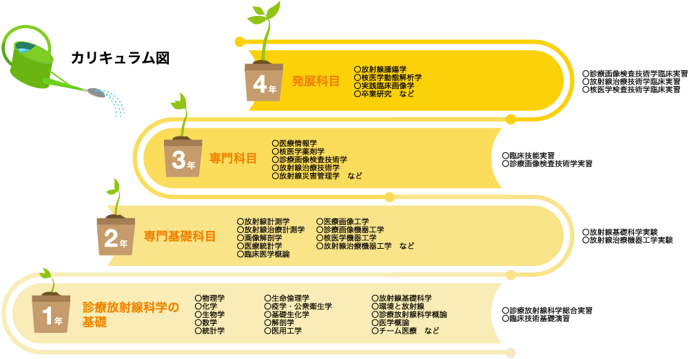 診療放射線科学科のカリキュラム図。1年から4年までの履修科目が成長する植物に例えられ、各年次ごとの専門科目と発展科目が示されている。