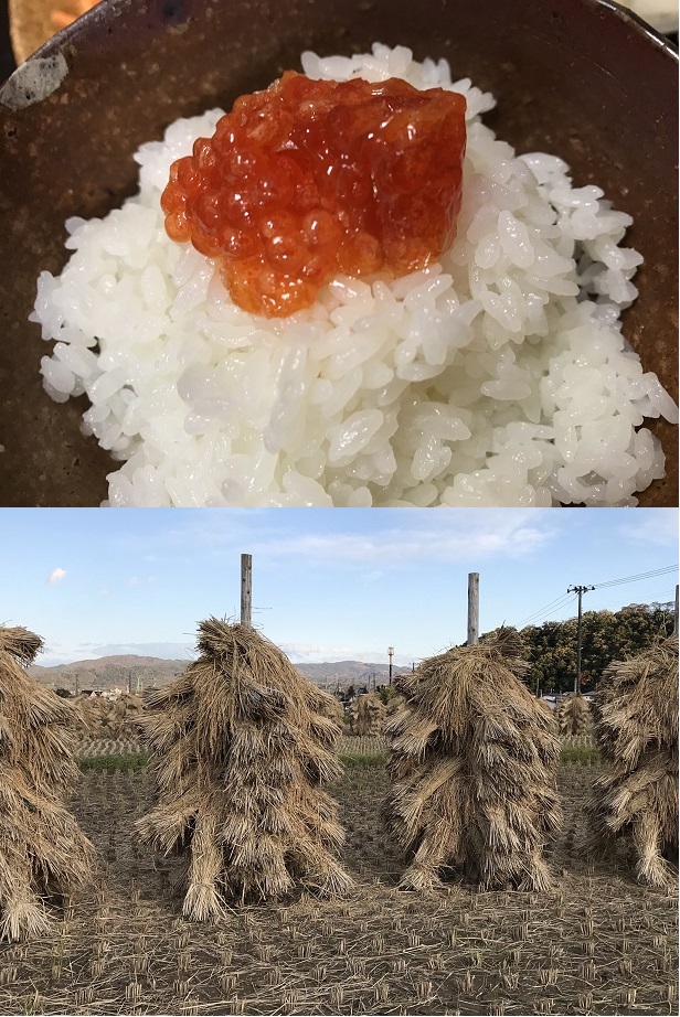 新米の上に筋子が乗ったご飯と、稲が干されている風景。
