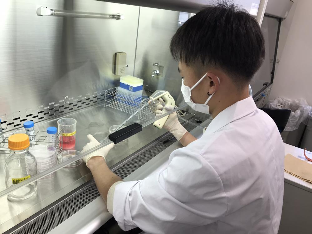 臨床検査学科の学生が実験室で試薬を扱い、検査準備をしている様子。