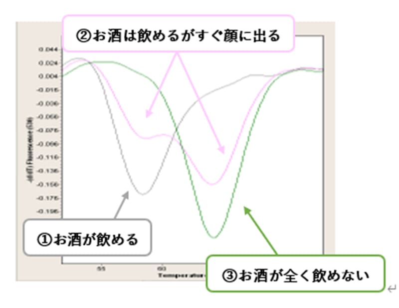 遺伝子によるアルコール耐性のタイプを示すグラフ。お酒が飲める人、顔に出る人、全く飲めない人の分類が描かれている。
