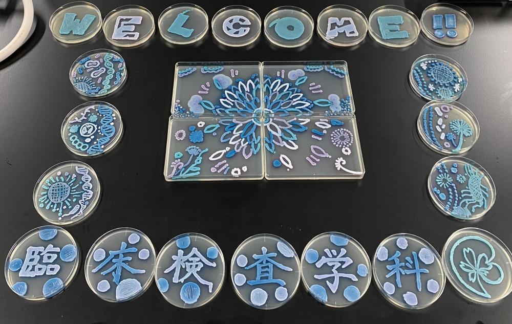 Agar Artで描かれた「WELCOME!!」の文字と「臨床検査学科」の作品が並ぶペトリ皿のアート。