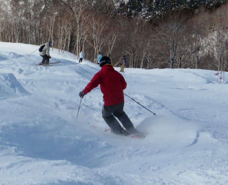 スキーを楽しむ赤いジャケットの男性が雪山を滑る様子。背景には他のスキーヤーが見える。