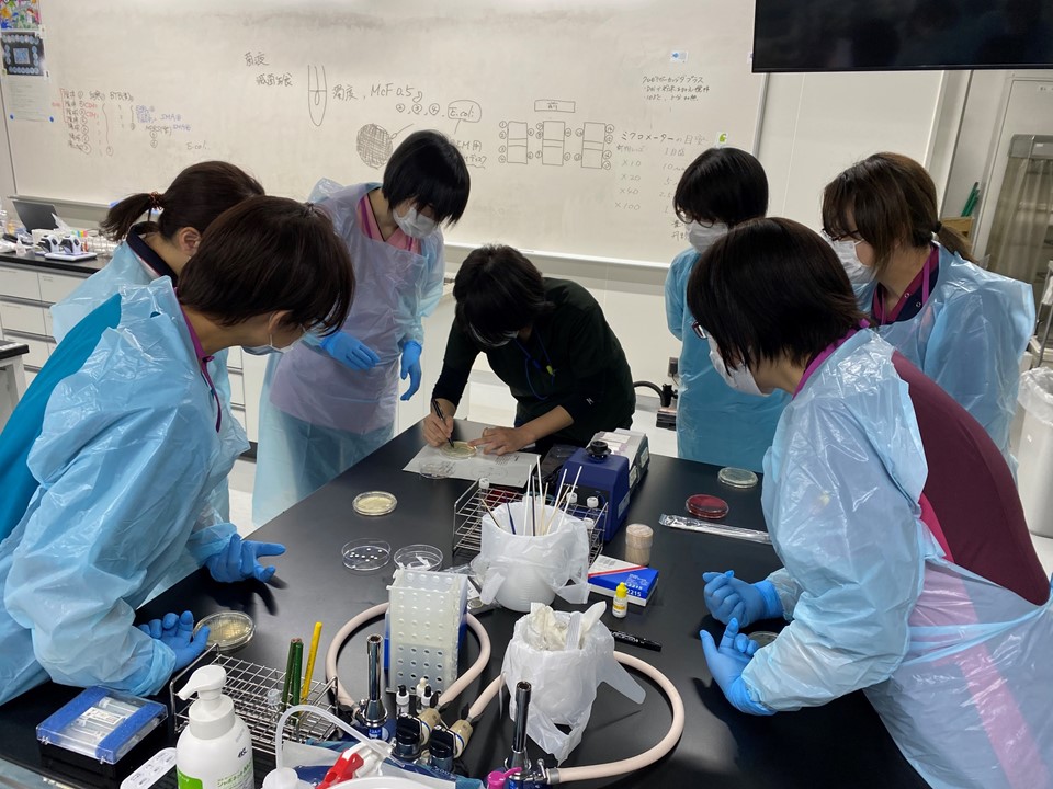感染管理認定看護師教育課程の微生物学実習で、受講生が真剣に学ぶ様子。