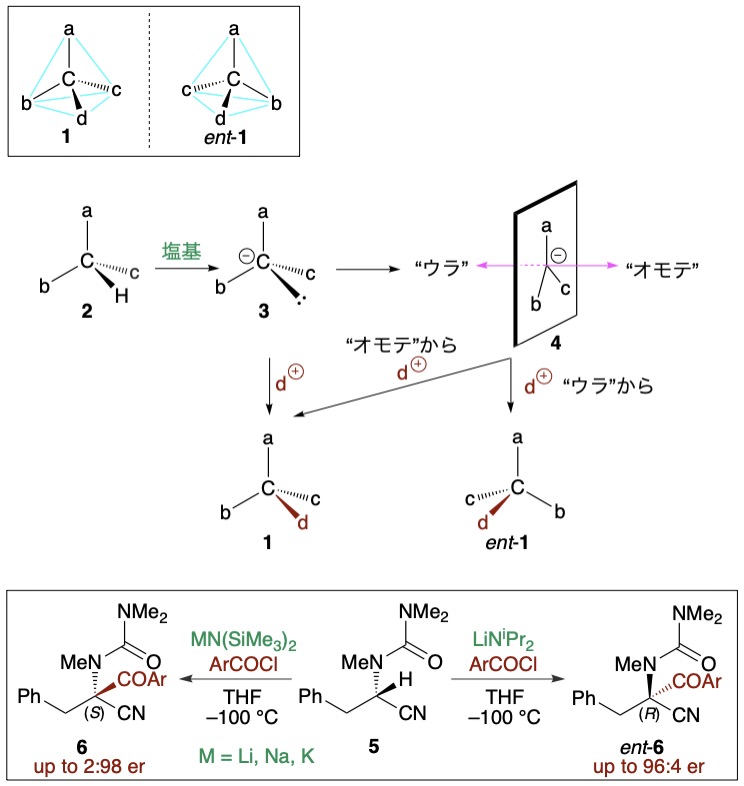 カルバニオンの生成過程を示す化学反応図。キラル化合物のオモテとウラの違いを説明。