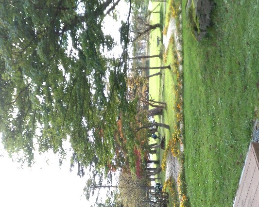 緑豊かな公園の風景、色とりどりの花が咲き、木々が立ち並ぶ様子。