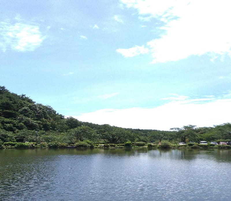 青空の下、緑豊かな山々に囲まれた静かな湖の風景。自然の美しさが広がる。