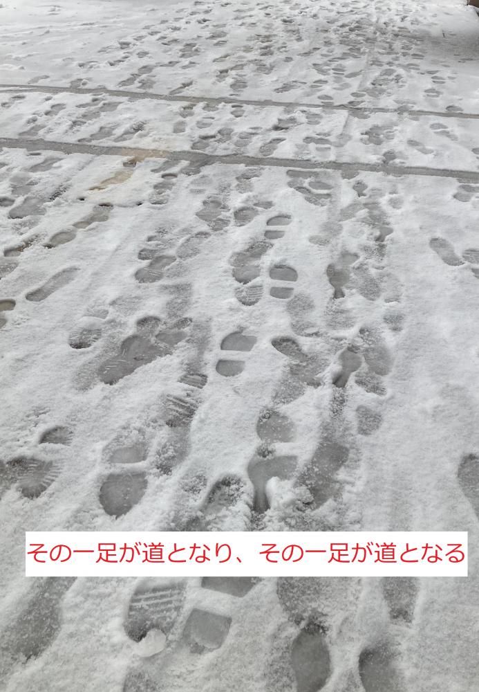 雪の上に残された多くの足跡が交差する様子。