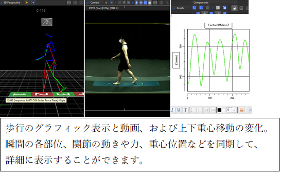 歩行のグラフィック表示と動作解析、重心移動の変化を示す画像。