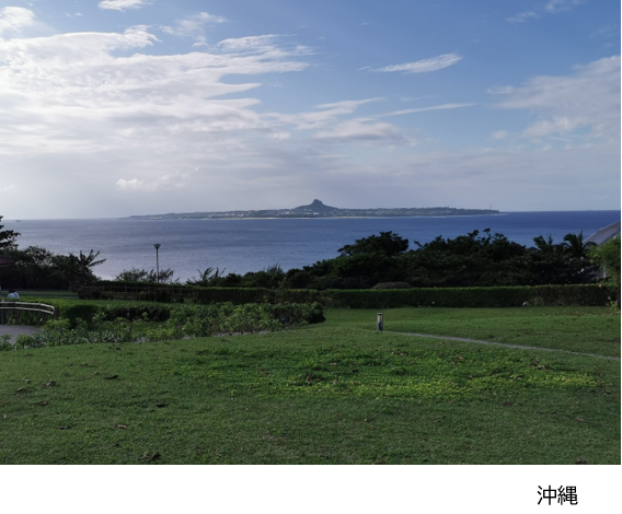 沖縄の美しい海と緑豊かな草地が広がる風景、遠くに島が見える。