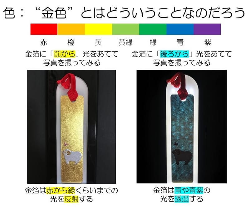 金色の金箔と青色の光を透過する金箔の比較画像。光の当て方による色の変化を示す。