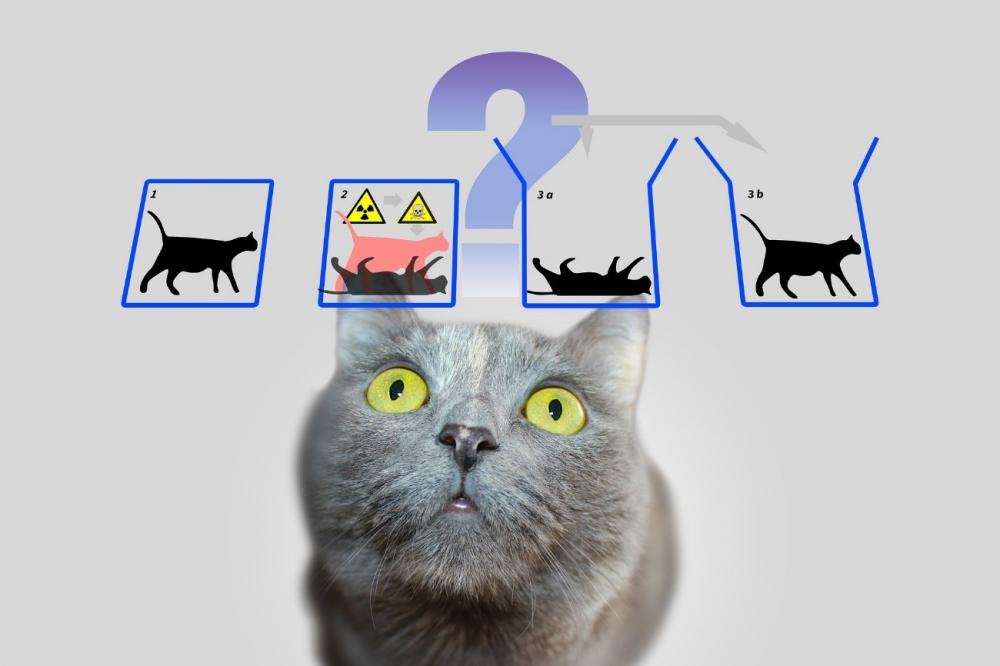 シュレーディンガーの猫をテーマにした思考実験のイラスト。猫の顔と箱の中の状態を示す図が描かれている。